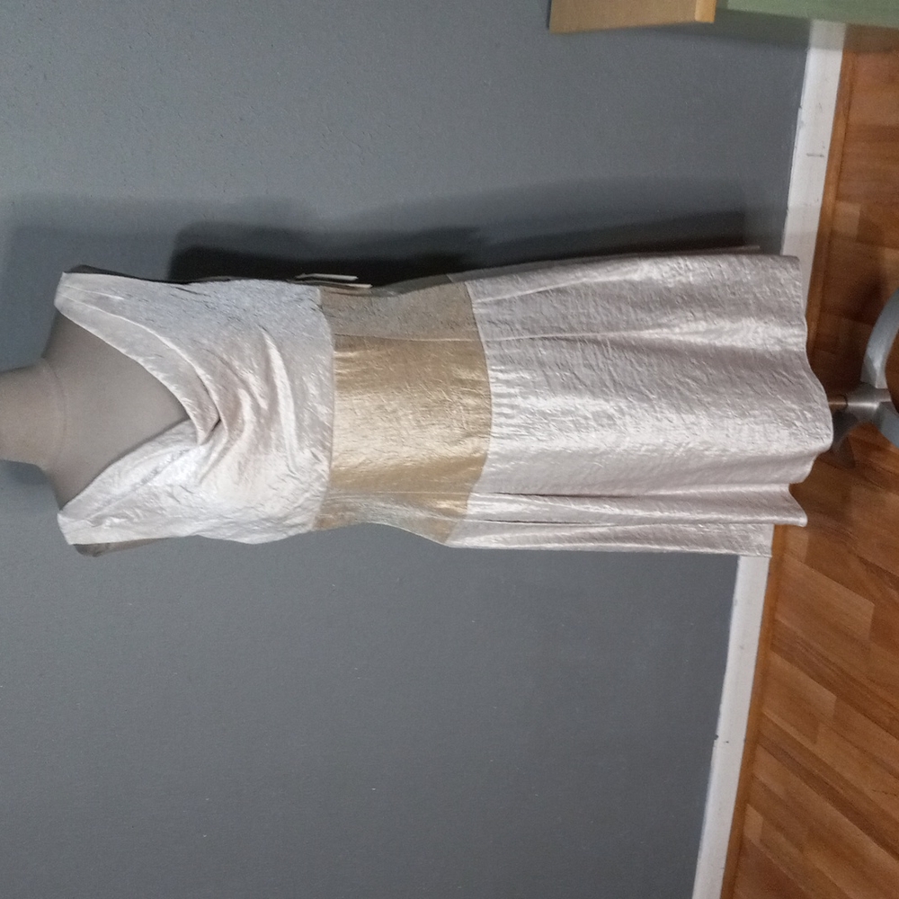 Adrianna Papell dress